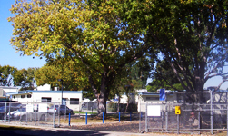 BV Across Street