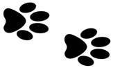 paws