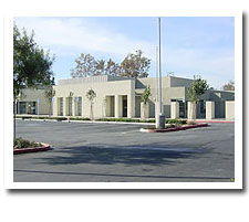 School Picture