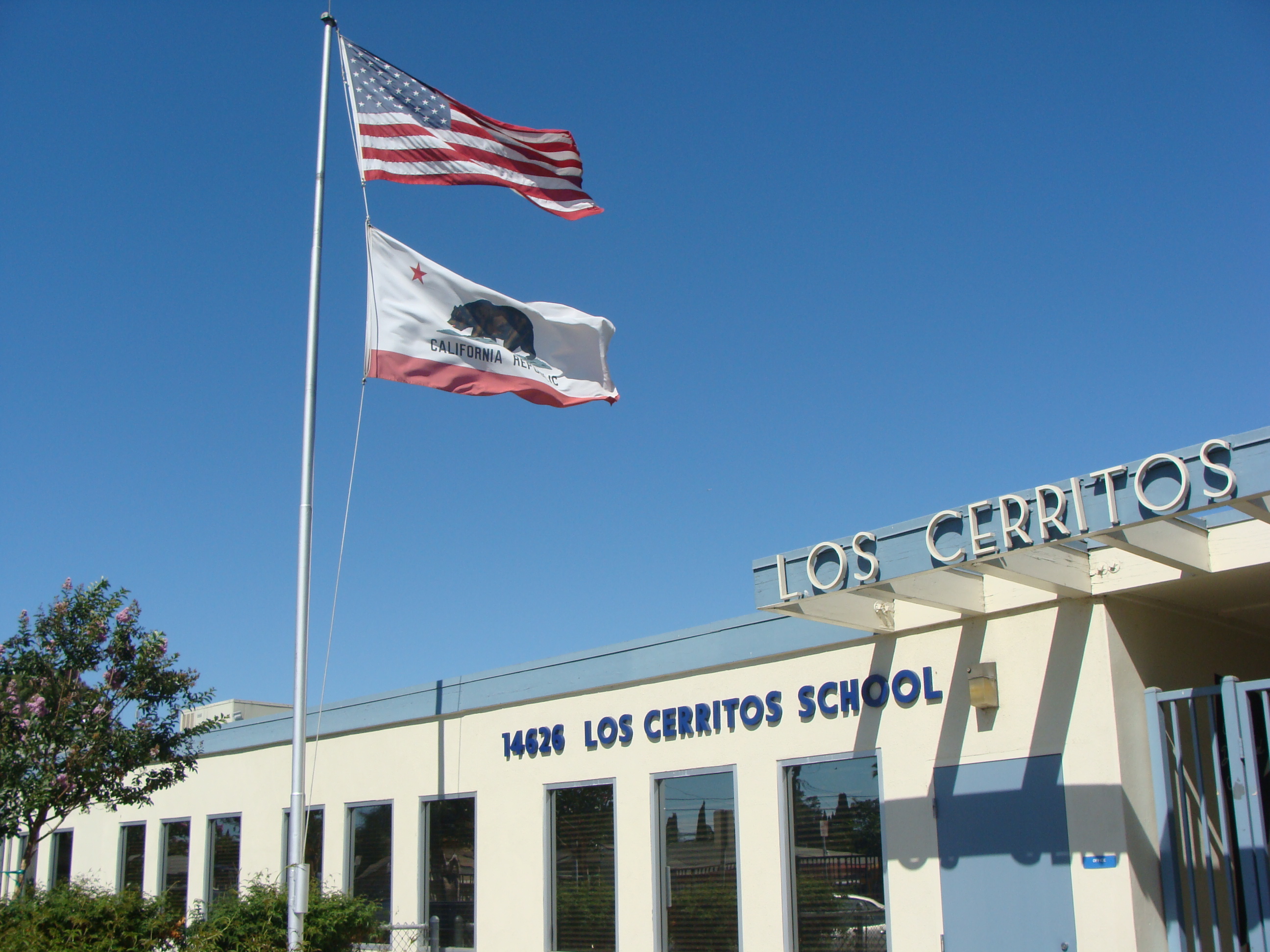 school